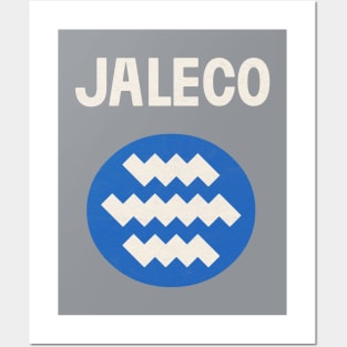 Jaleco Software Company Posters and Art